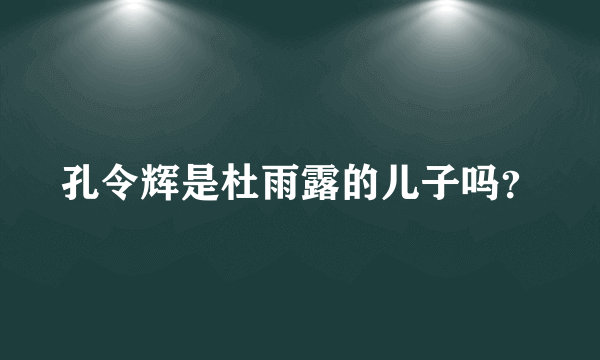 孔令辉是杜雨露的儿子吗？