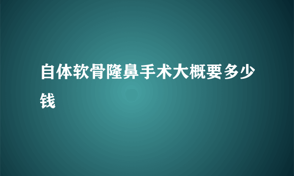 自体软骨隆鼻手术大概要多少钱