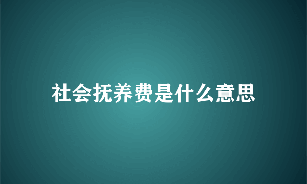 社会抚养费是什么意思