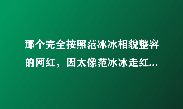 那个完全按照范冰冰相貌整容的网红，因太像范冰冰走红，结果如何？