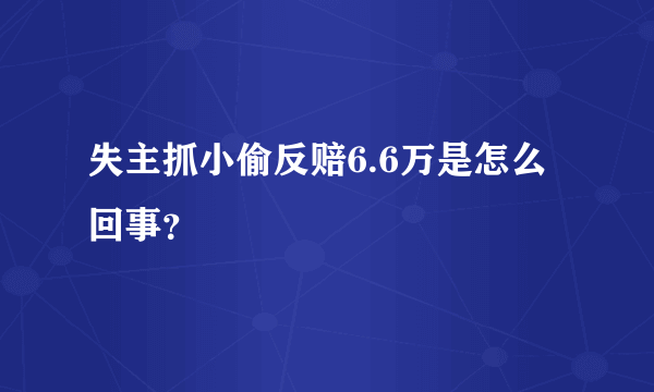 失主抓小偷反赔6.6万是怎么回事？