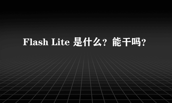 Flash Lite 是什么？能干吗？