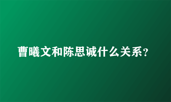 曹曦文和陈思诚什么关系？