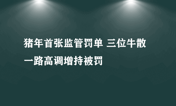 猪年首张监管罚单 三位牛散一路高调增持被罚