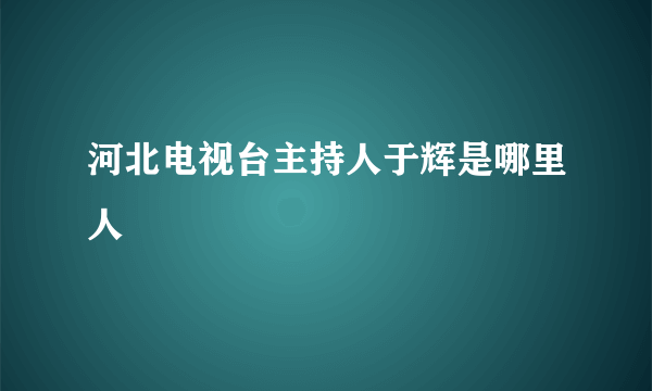 河北电视台主持人于辉是哪里人