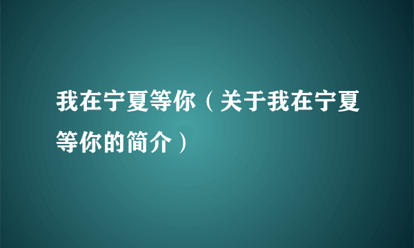 我在宁夏等你（关于我在宁夏等你的简介）