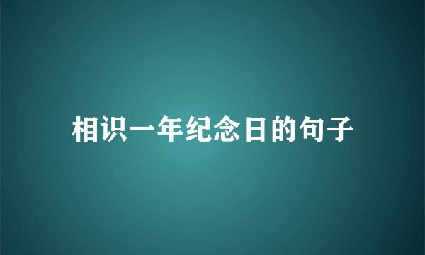 相识一年纪念日的句子