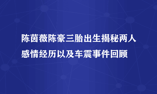 陈茵薇陈豪三胎出生揭秘两人感情经历以及车震事件回顾