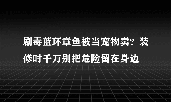 剧毒蓝环章鱼被当宠物卖？装修时千万别把危险留在身边