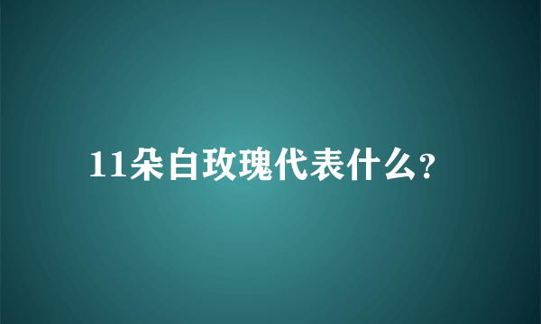 11朵白玫瑰代表什么？