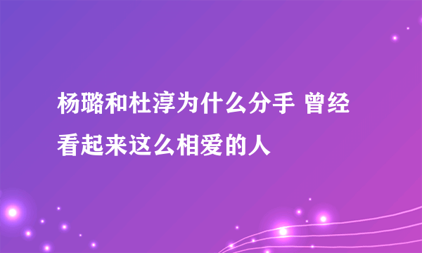 杨璐和杜淳为什么分手 曾经看起来这么相爱的人