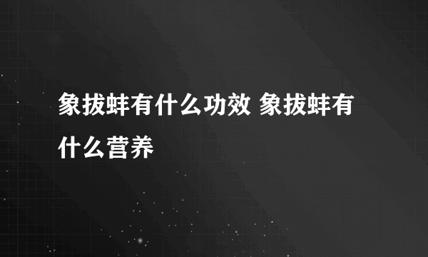 象拔蚌有什么功效 象拔蚌有什么营养