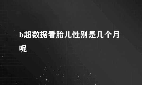 b超数据看胎儿性别是几个月呢