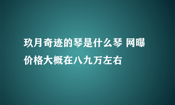 玖月奇迹的琴是什么琴 网曝价格大概在八九万左右