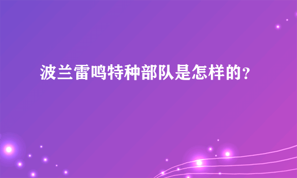 波兰雷鸣特种部队是怎样的？