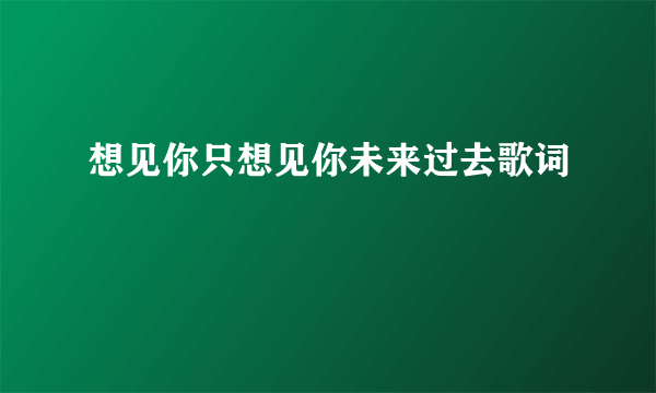 想见你只想见你未来过去歌词