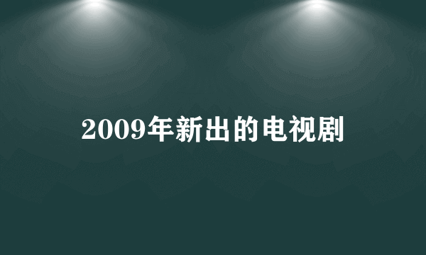 2009年新出的电视剧