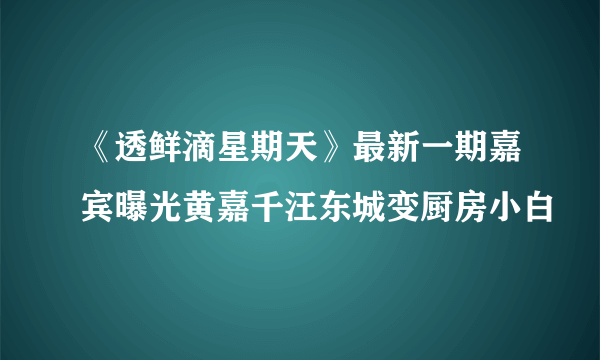 《透鲜滴星期天》最新一期嘉宾曝光黄嘉千汪东城变厨房小白