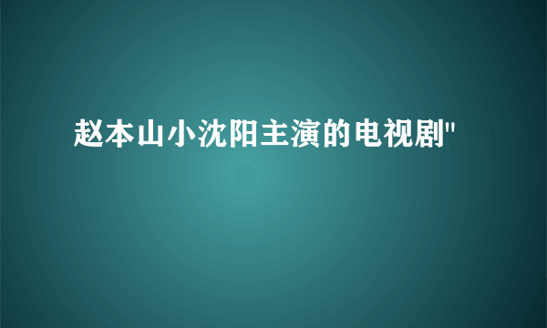 赵本山小沈阳主演的电视剧