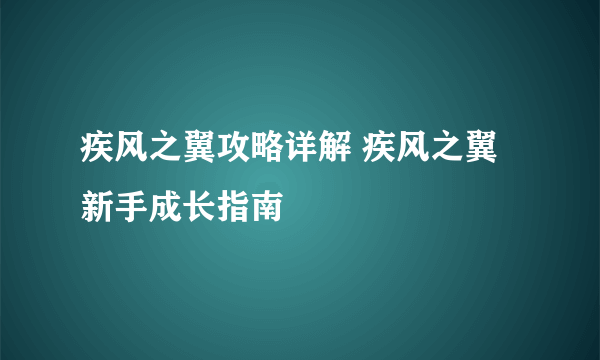 疾风之翼攻略详解 疾风之翼新手成长指南