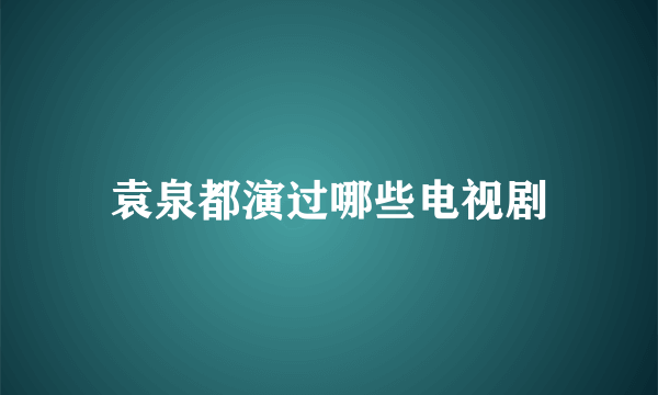 袁泉都演过哪些电视剧