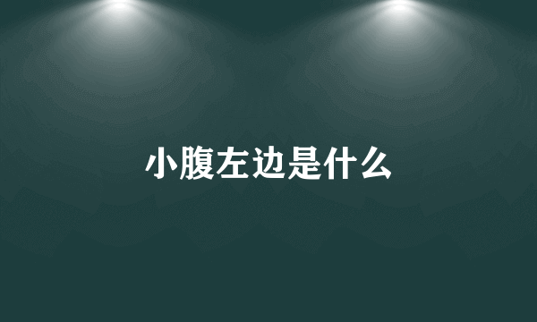 小腹左边是什么