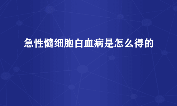 急性髓细胞白血病是怎么得的