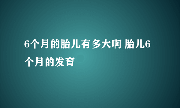 6个月的胎儿有多大啊 胎儿6个月的发育