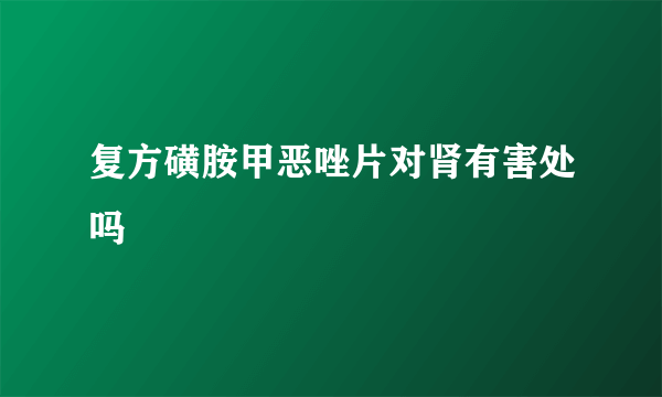 复方磺胺甲恶唑片对肾有害处吗