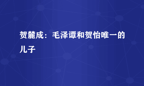 贺麓成：毛泽谭和贺怡唯一的儿子