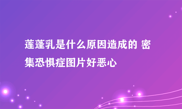 莲蓬乳是什么原因造成的 密集恐惧症图片好恶心