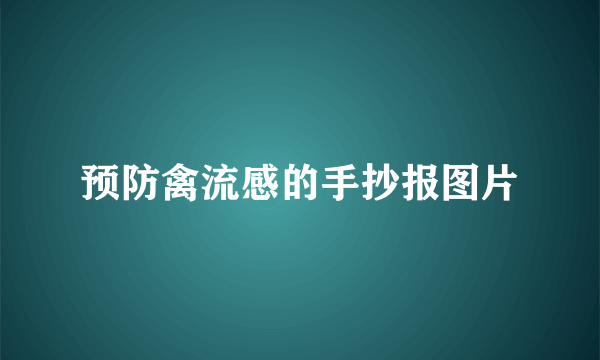 预防禽流感的手抄报图片