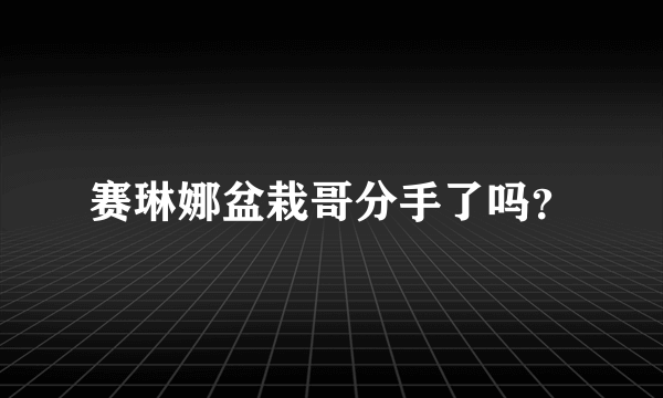 赛琳娜盆栽哥分手了吗？