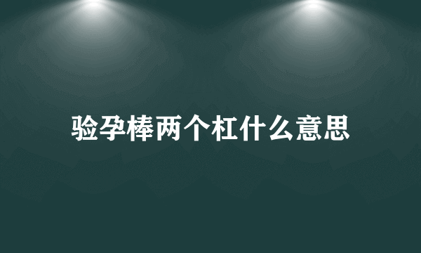 验孕棒两个杠什么意思