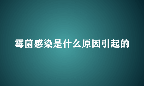 霉菌感染是什么原因引起的