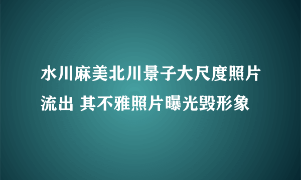 水川麻美北川景子大尺度照片流出 其不雅照片曝光毁形象