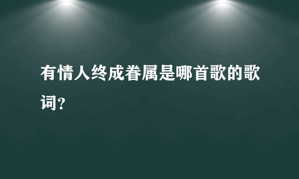 有情人终成眷属是哪首歌的歌词？