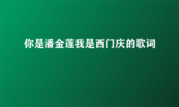 你是潘金莲我是西门庆的歌词