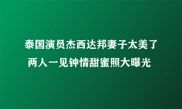 泰国演员杰西达邦妻子太美了 两人一见钟情甜蜜照大曝光