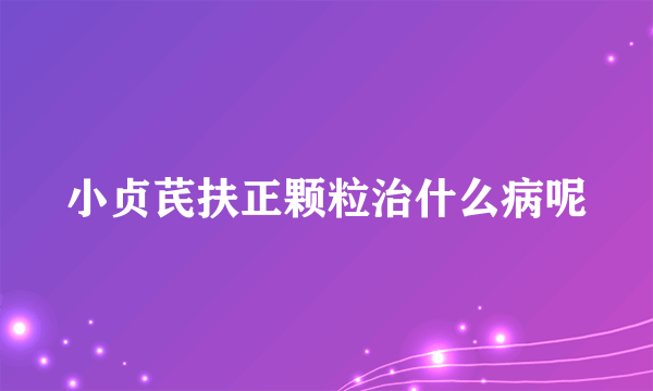 小贞芪扶正颗粒治什么病呢