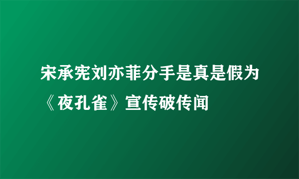 宋承宪刘亦菲分手是真是假为《夜孔雀》宣传破传闻