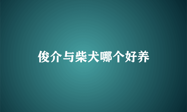 俊介与柴犬哪个好养