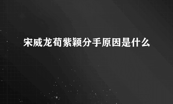 宋威龙荀紫颖分手原因是什么