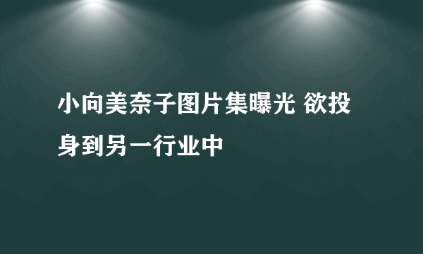 小向美奈子图片集曝光 欲投身到另一行业中