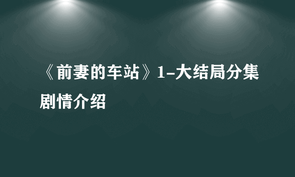 《前妻的车站》1-大结局分集剧情介绍