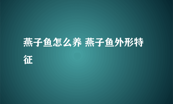 燕子鱼怎么养 燕子鱼外形特征