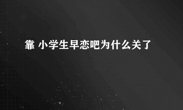 靠 小学生早恋吧为什么关了