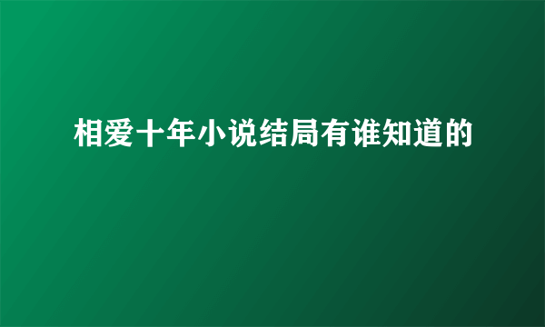 相爱十年小说结局有谁知道的