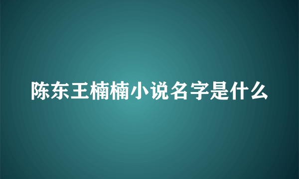 陈东王楠楠小说名字是什么