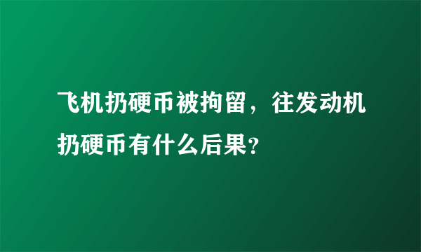 飞机扔硬币被拘留，往发动机扔硬币有什么后果？